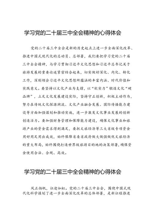 学习贯彻党的二十三中全会精神的心得感悟简短交流发言稿范本58篇.docx