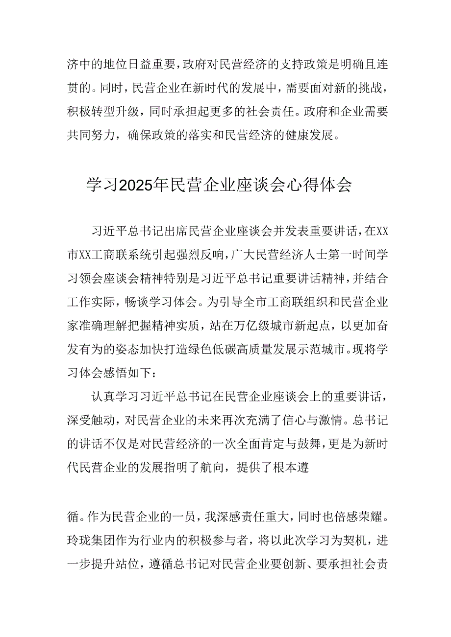 民营企业2025年学习《民营企业座谈会》个人心得感悟 （4份）79.docx_第3页