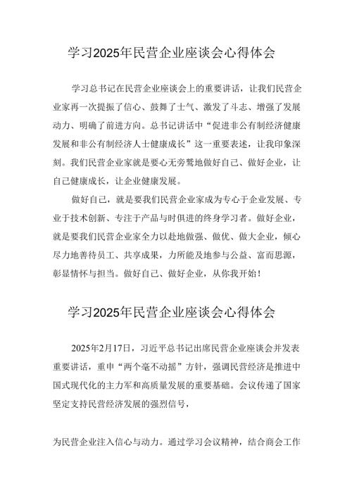 2025年私营企业学习民营企业座谈会个人心得体会 （合计10份）.docx