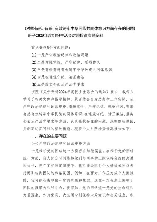 （对照有形、有感、有效铸牢中华民族共同体意识方面存在的问题）班子2025组织生活会对照检查专题资料.docx