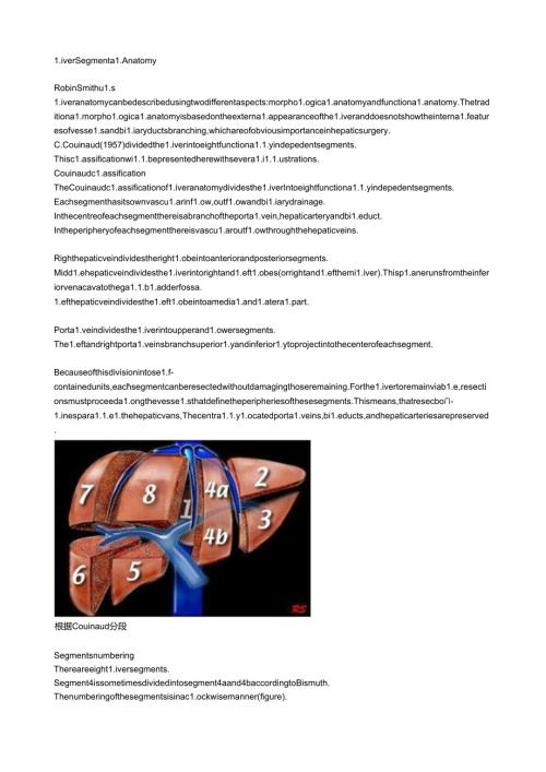 肝脏分叶精美图解.docx