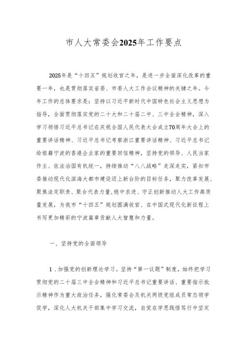 市人大常委会2025年工作要点.docx