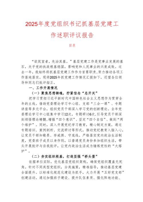 2025党组织书记抓基层党建工作述职评议报告.docx