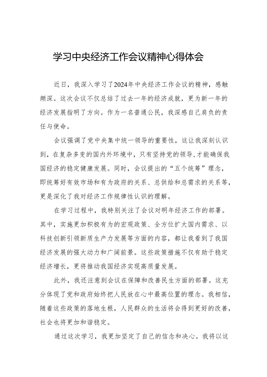 2024年中央经济工作会议精神学习体会发言稿4篇.docx_第1页