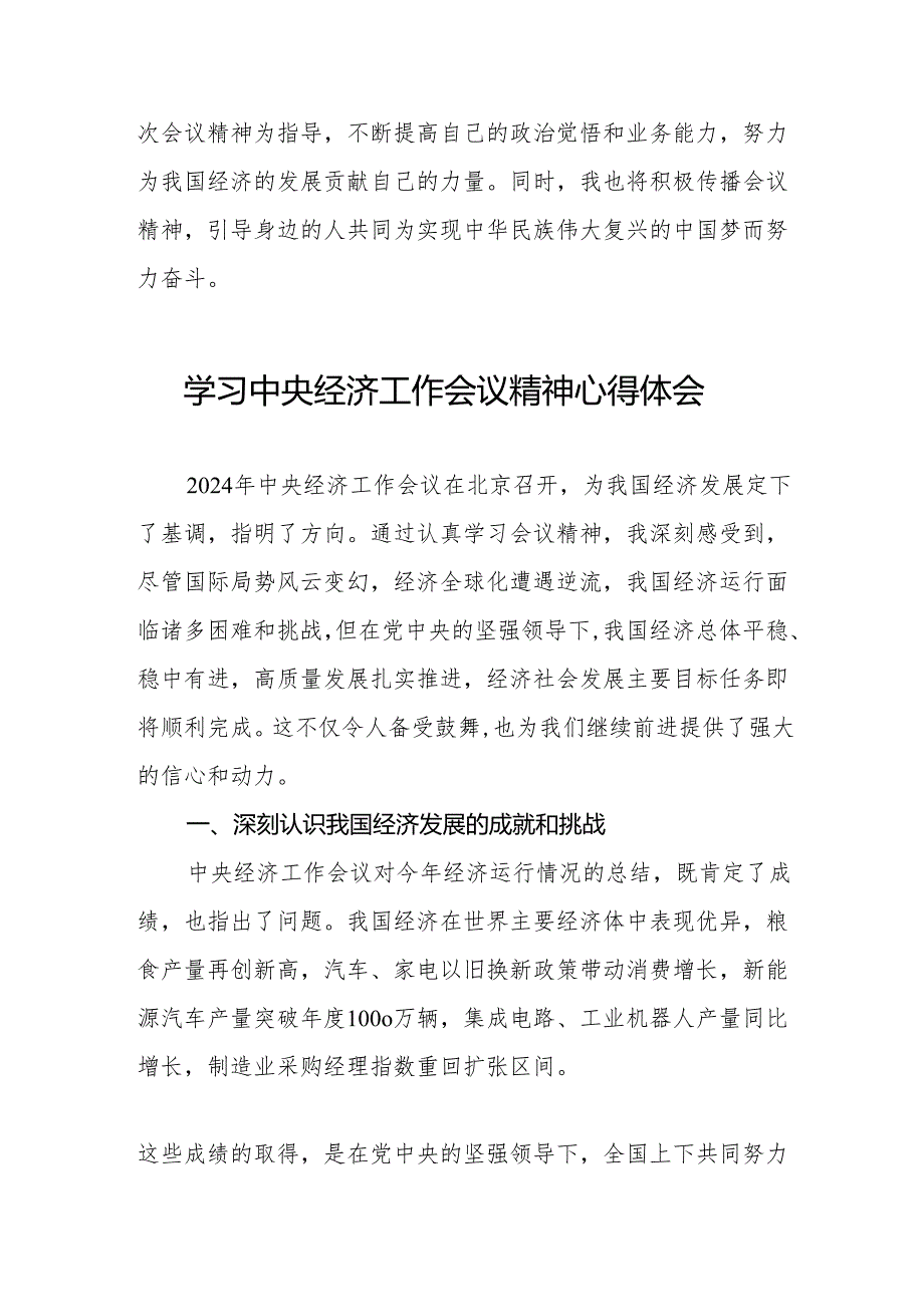 2024年中央经济工作会议精神学习体会发言稿4篇.docx_第2页