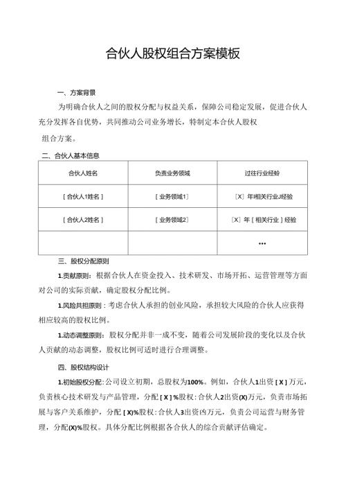 合伙人股权组合方案模板.docx