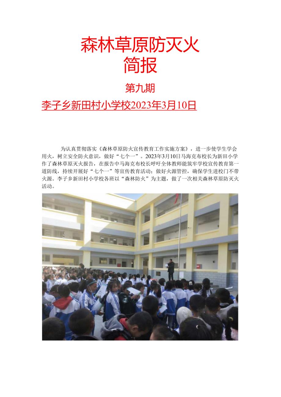 新田2023.3.10森林防火活动简报.docx_第1页