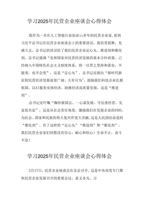 民营企业2025年学习《民营企业座谈会》个人心得感悟 （5份）69.docx