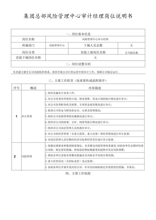 岗位说明书风险管理中心审计管理岗.docx