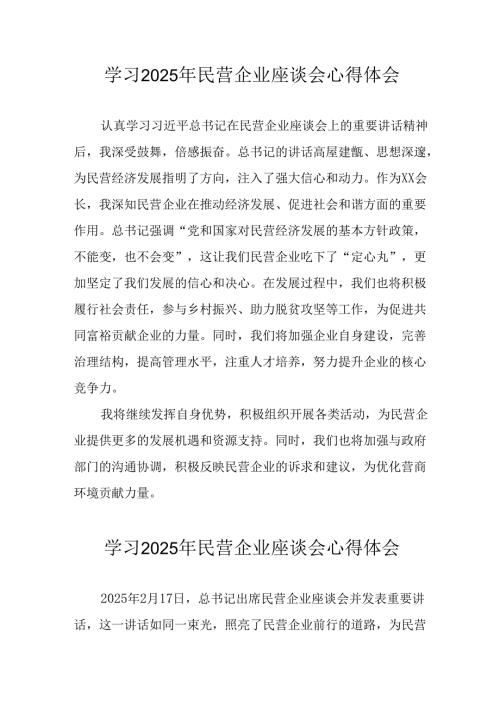 2025年私营企业学习《民营企业座谈会》个人心得感悟 （汇编7份）.docx