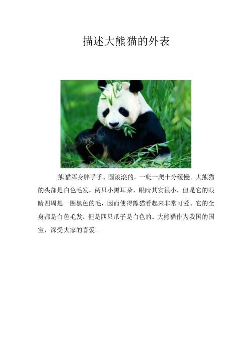 描述大熊猫的外表.docx