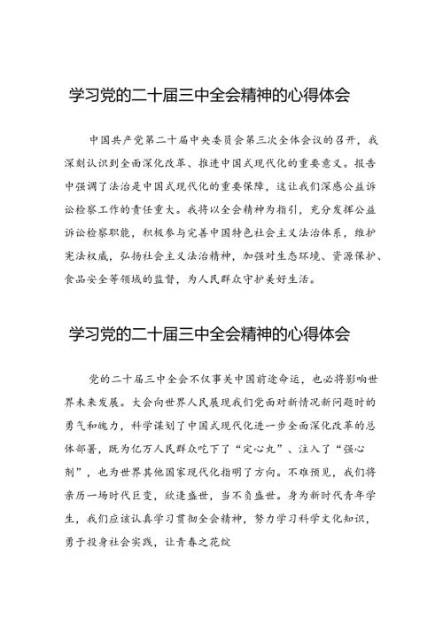学习贯彻2024年二十三中全会精神心得体会简短发言二十七篇.docx