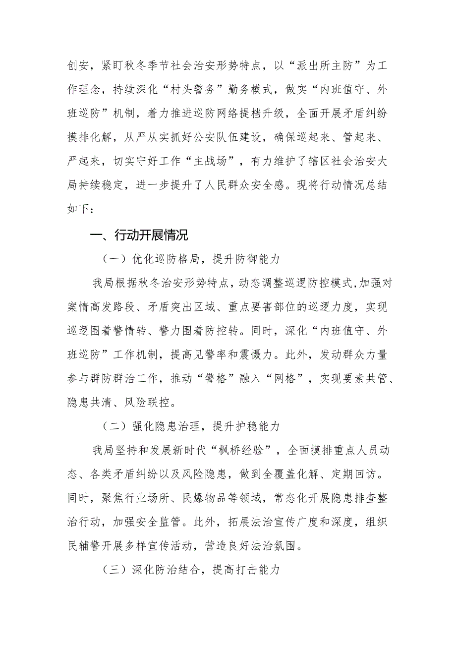 公安局开展2024年冬季治安打击整治行动情况汇报8篇.docx_第3页