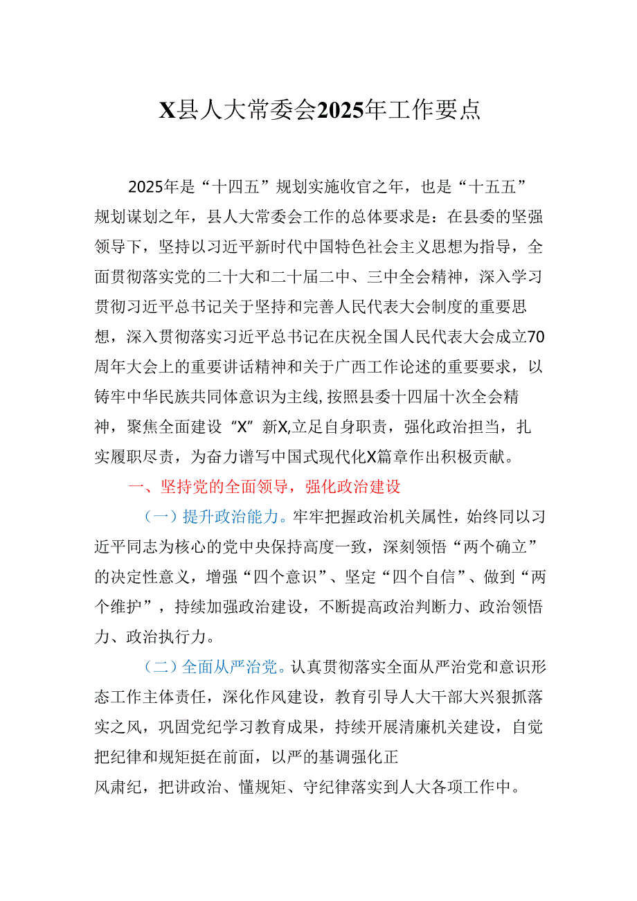 X县人大常委会2025年工作要点.docx_第1页
