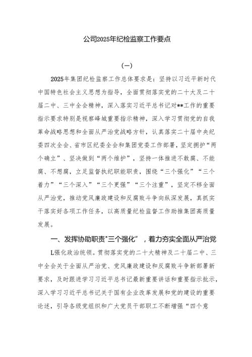 公司2025年纪检监察工作要点.docx