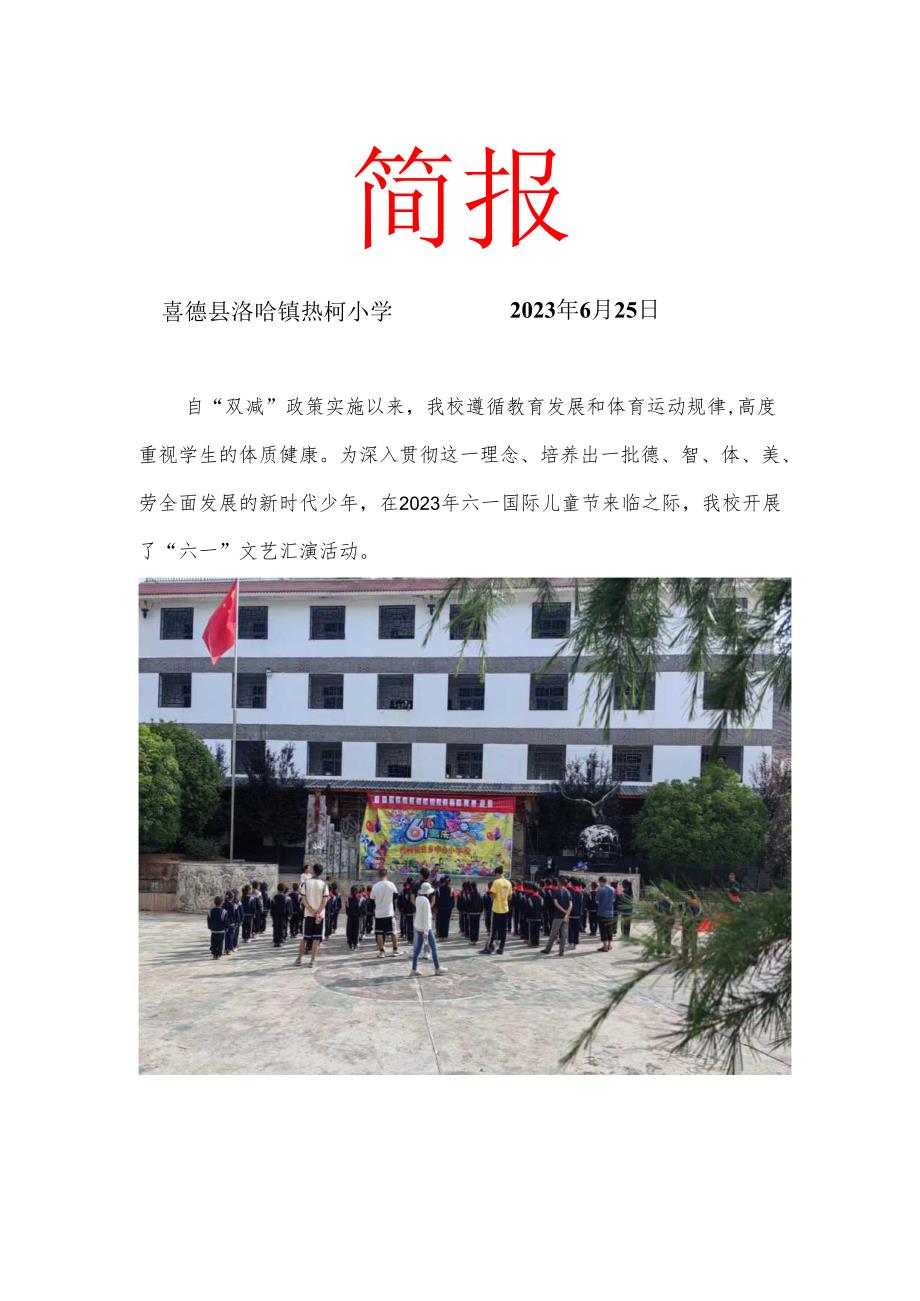喜德县热柯小学6月双减工作月报.docx_第1页
