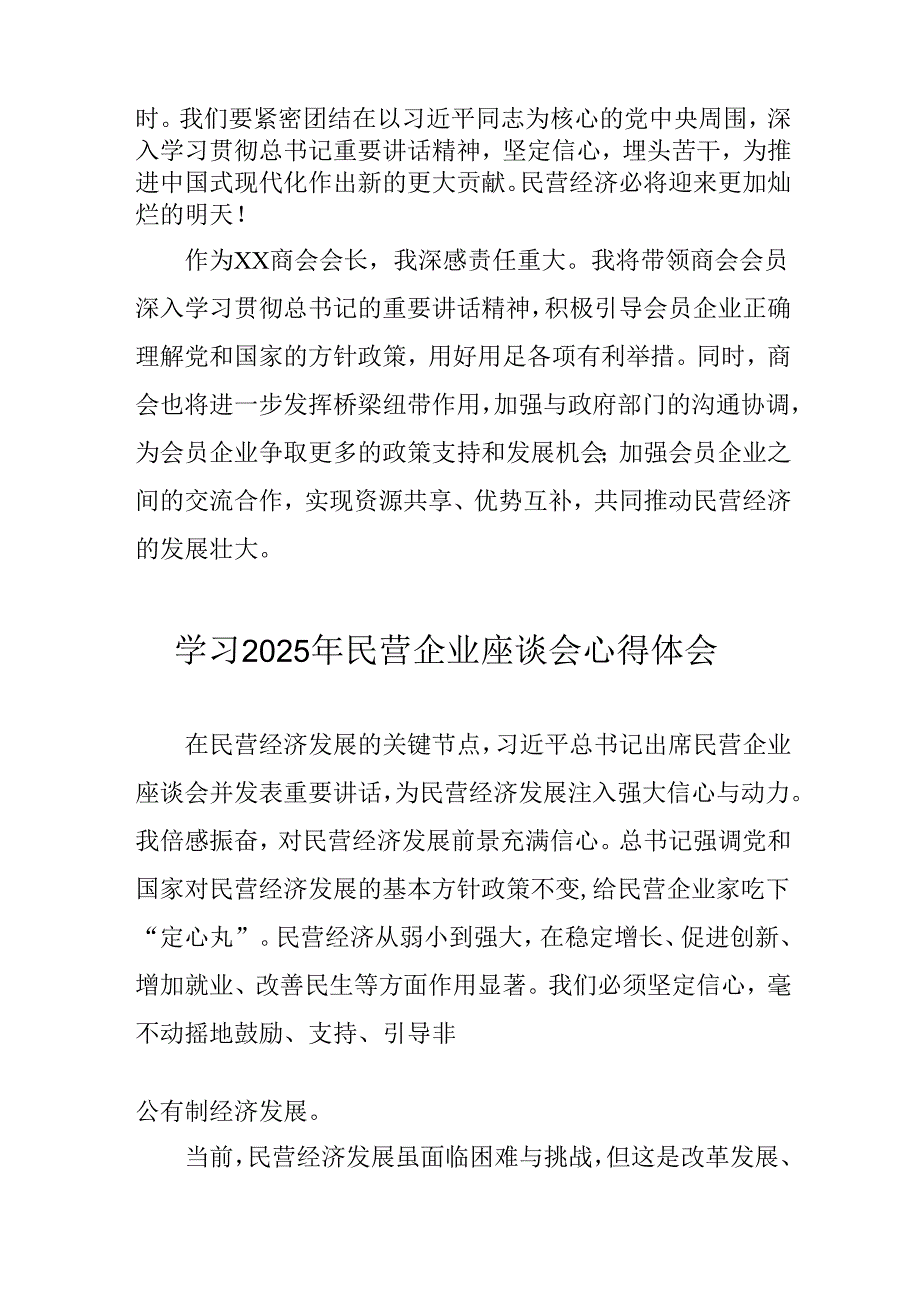 民营企业2025年学习《民营企业座谈会》个人心得感悟 （5份）50(1).docx_第2页