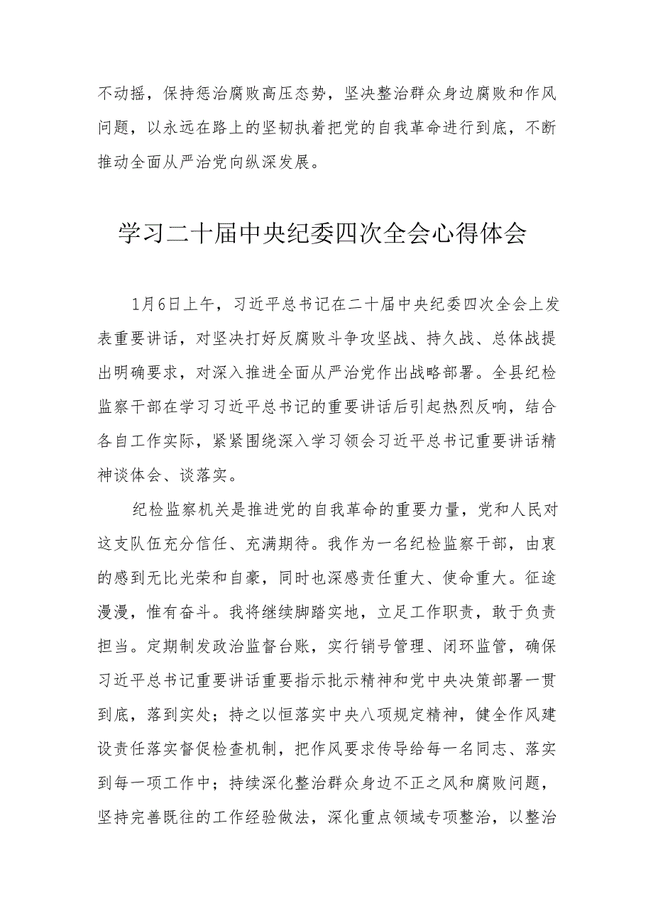 学习《二十中央纪委四次全会》个人心得体会 （汇编17份）.docx_第2页