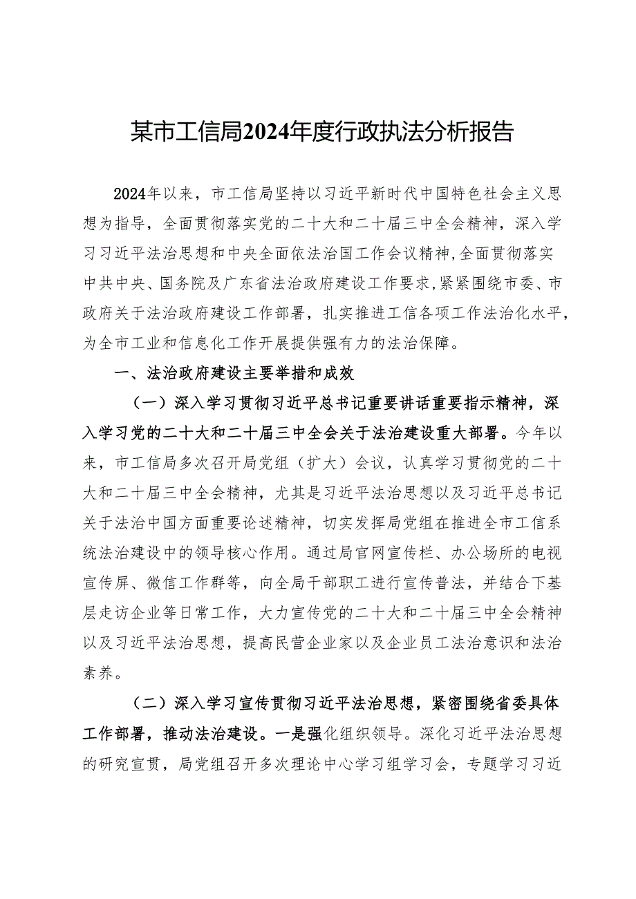 某市工信局2024行政执法分析报告.docx_第1页