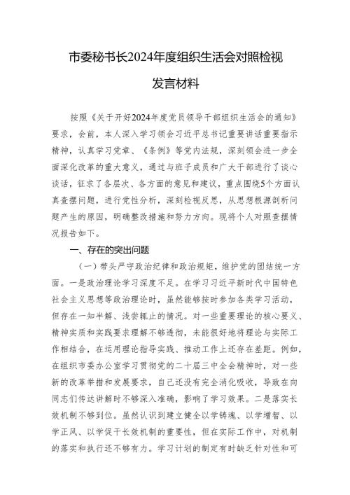 2024组织生活会对照检视发言材料（精选5篇）.docx