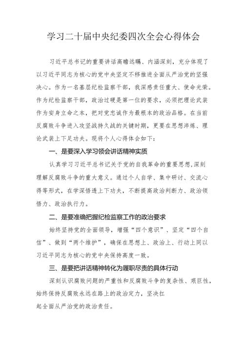 纪检干部学习二十中央纪委四次全会个人心得体会 合计15份.docx