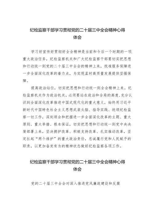 （9篇）纪检监察干部学习贯彻党的二十三中全会精神心得体会范文汇编.docx
