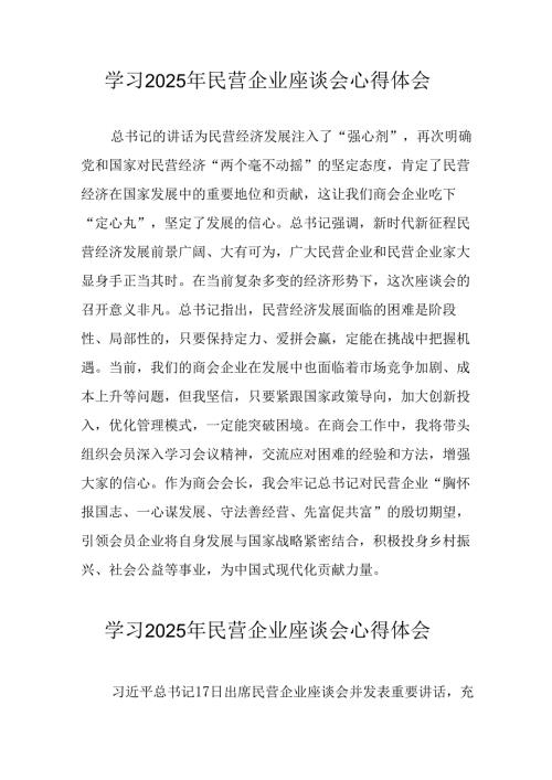 民营企业2025年学习《民营企业座谈会》个人心得感悟 （4份）78.docx