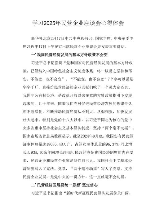 民营企业2025年学习《民营企业座谈会》个人心得感悟 （6份）58.docx