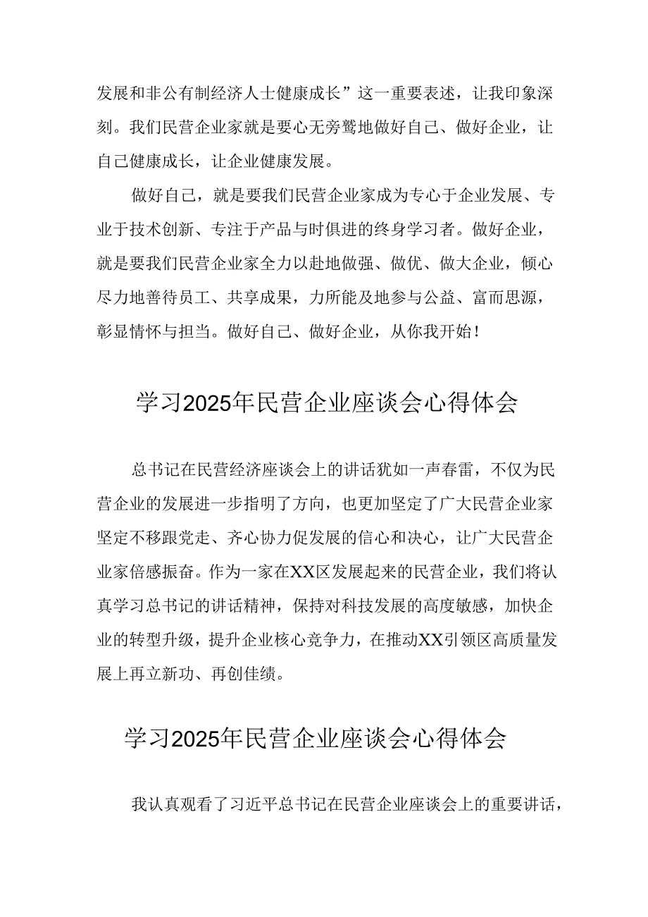 民营企业2025年学习《民营企业座谈会》个人心得体会 （汇编6份）.docx_第2页