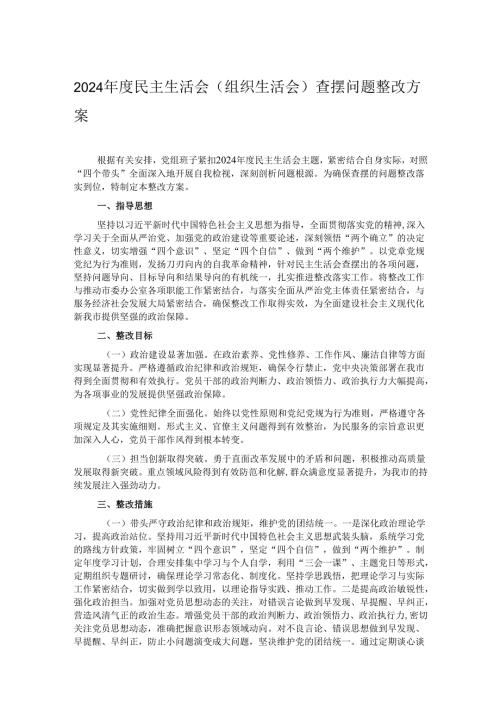 2024民主生活会（组织生活会）查摆问题整改方案.docx