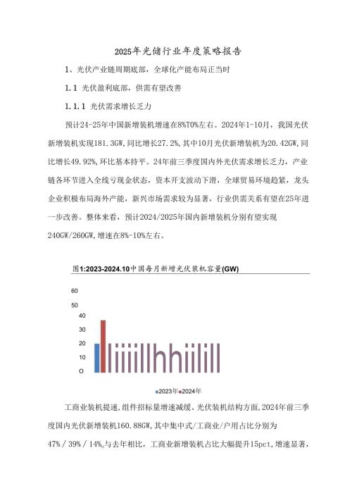2025年光储行业策略报告.docx