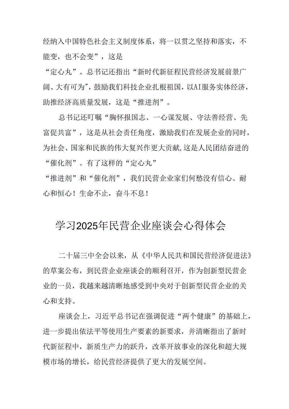 2025年私营企业学习《民营企业座谈会》个人心得体会 （汇编6份）.docx_第2页