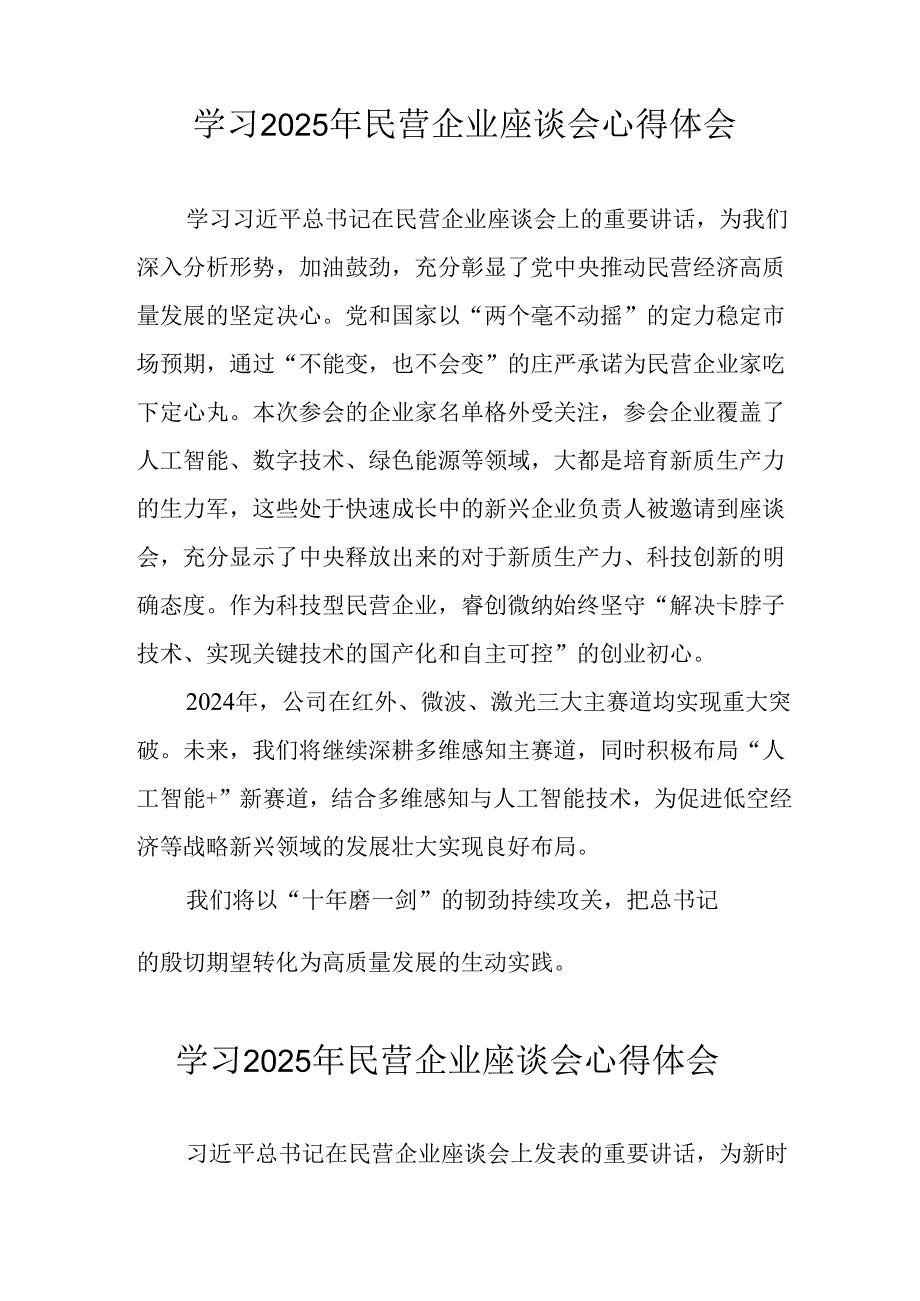 民营企业2025年学习《民营企业座谈会》个人心得感悟 （5份）89.docx_第2页