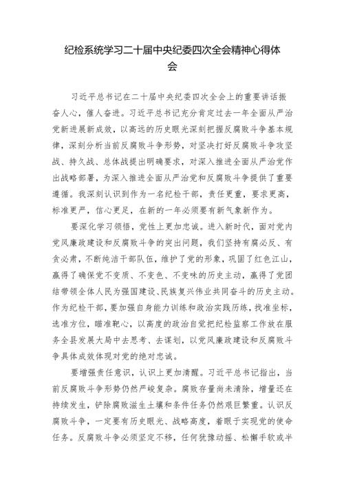 2025年纪检系统学习二十中央纪委四次全会精神心得体会.docx