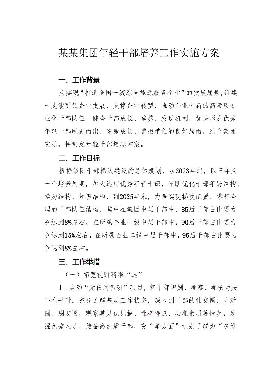 某某集团年轻干部培养工作实施方案.docx_第1页