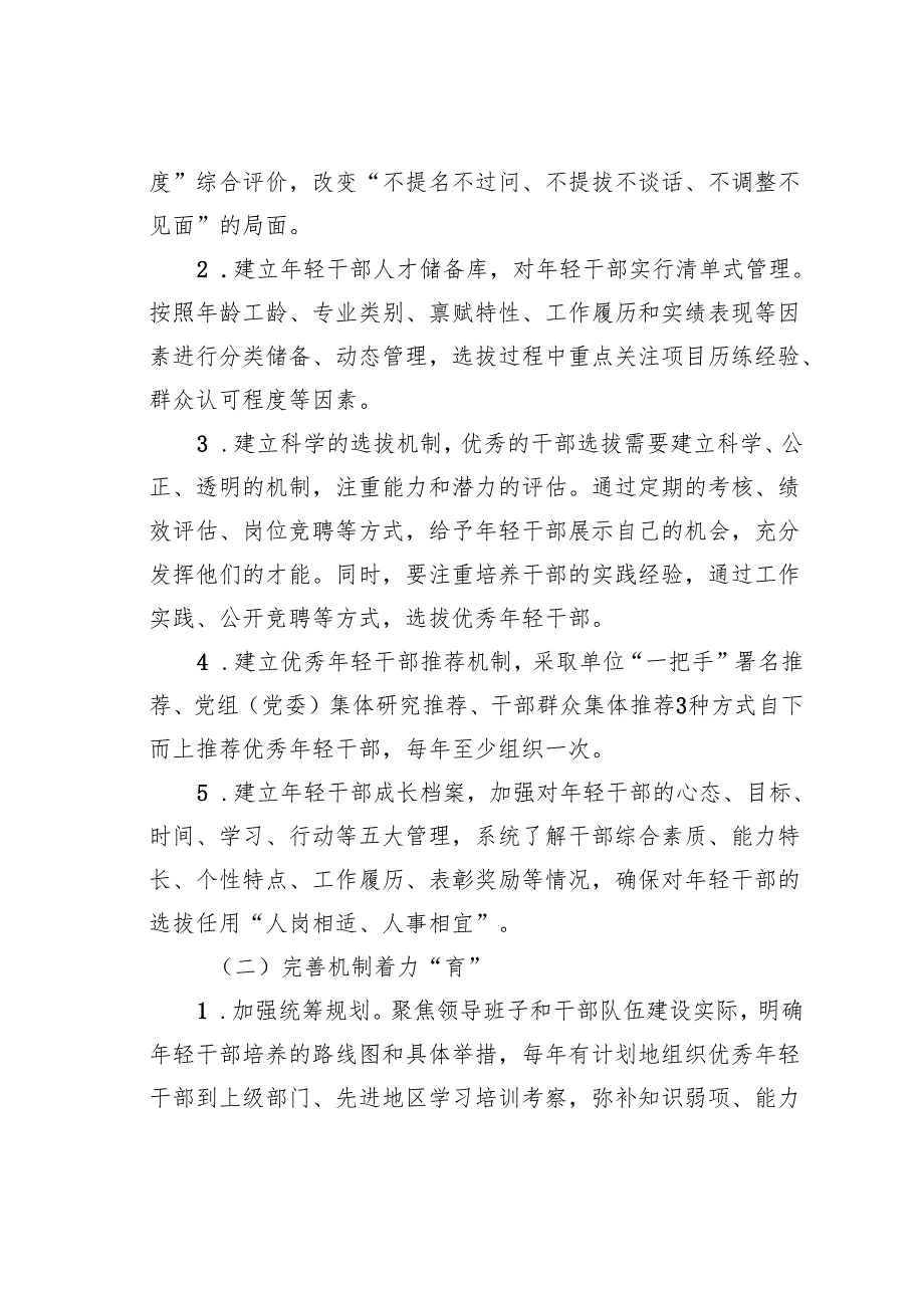 某某集团年轻干部培养工作实施方案.docx_第2页