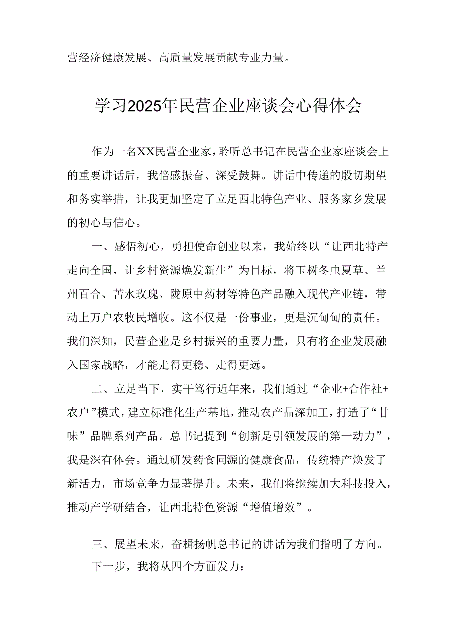 民营企业2025年学习《民营企业座谈会》个人心得感悟 （4份）99.docx_第3页