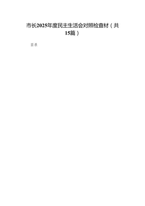 市长2025民主生活会对照检查材15篇.docx