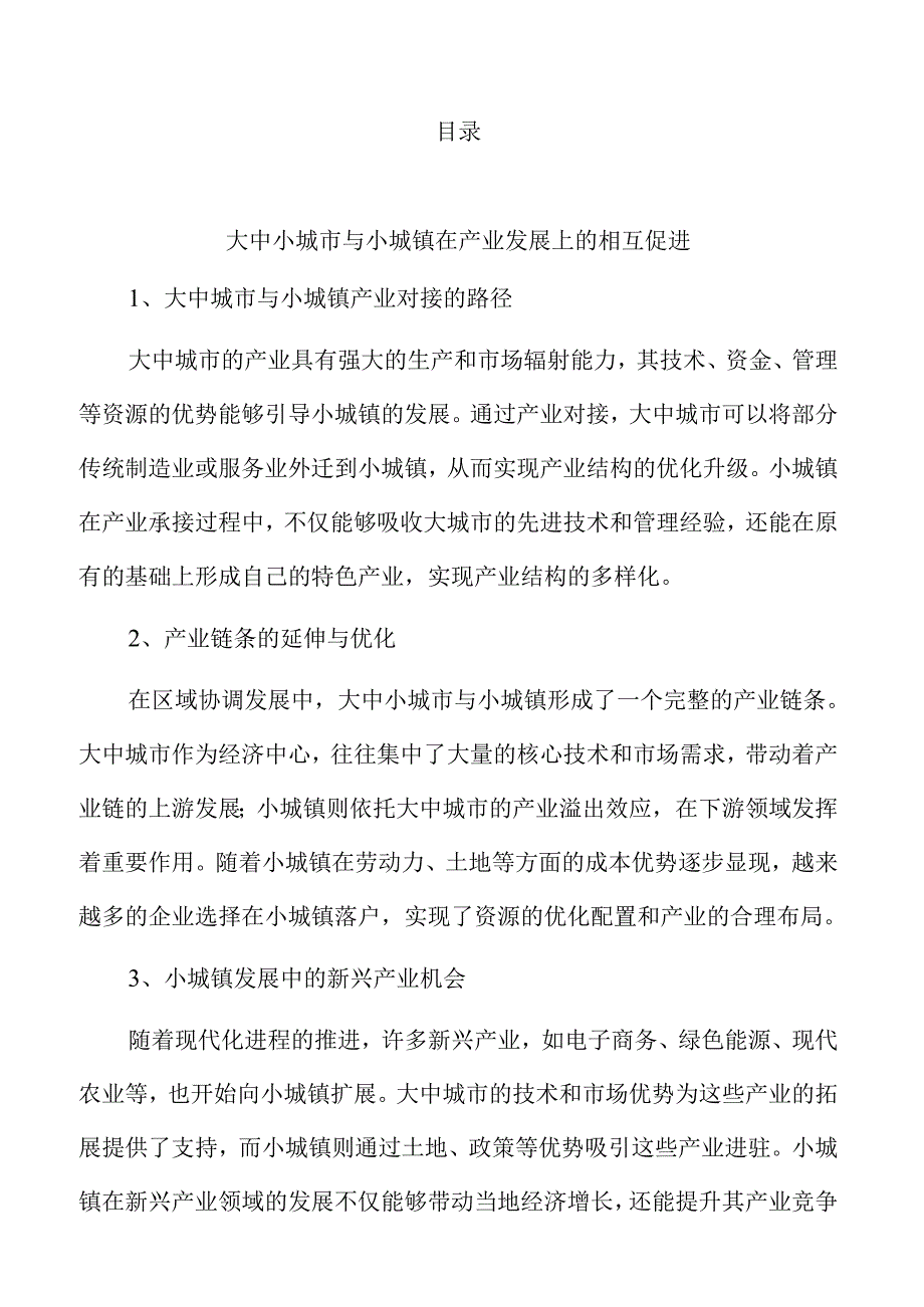 大中小城市与小城镇协同发展策略.docx_第2页