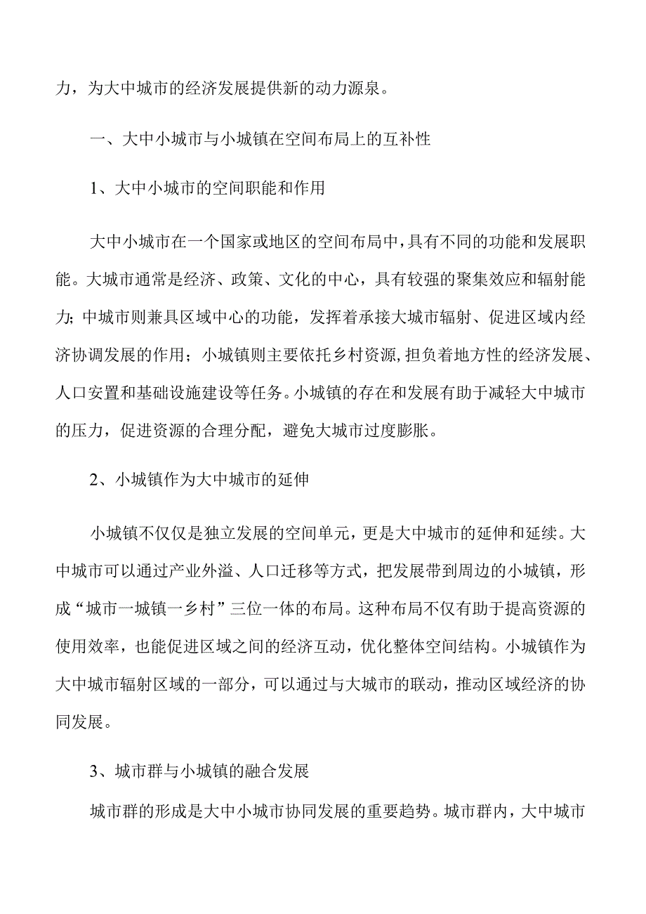 大中小城市与小城镇协同发展策略.docx_第3页