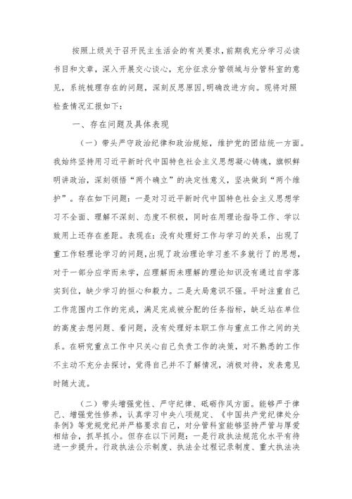 2024民主生活领导干部检查材料（四个带头+反面典型案例）范文两篇.docx