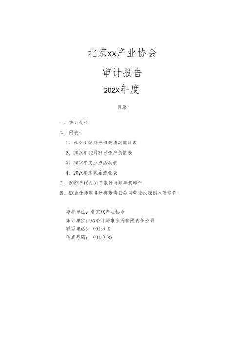 北京XX产业协会202X审计报告（2024年）.docx