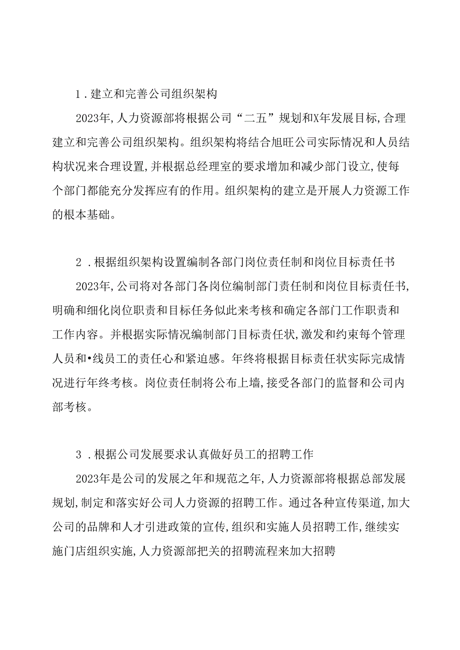 人力资源工作计划.docx_第2页