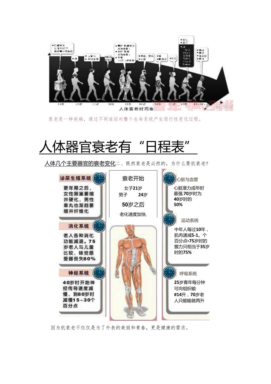 医美整形抗衰老机理基础知识课件.docx_第2页