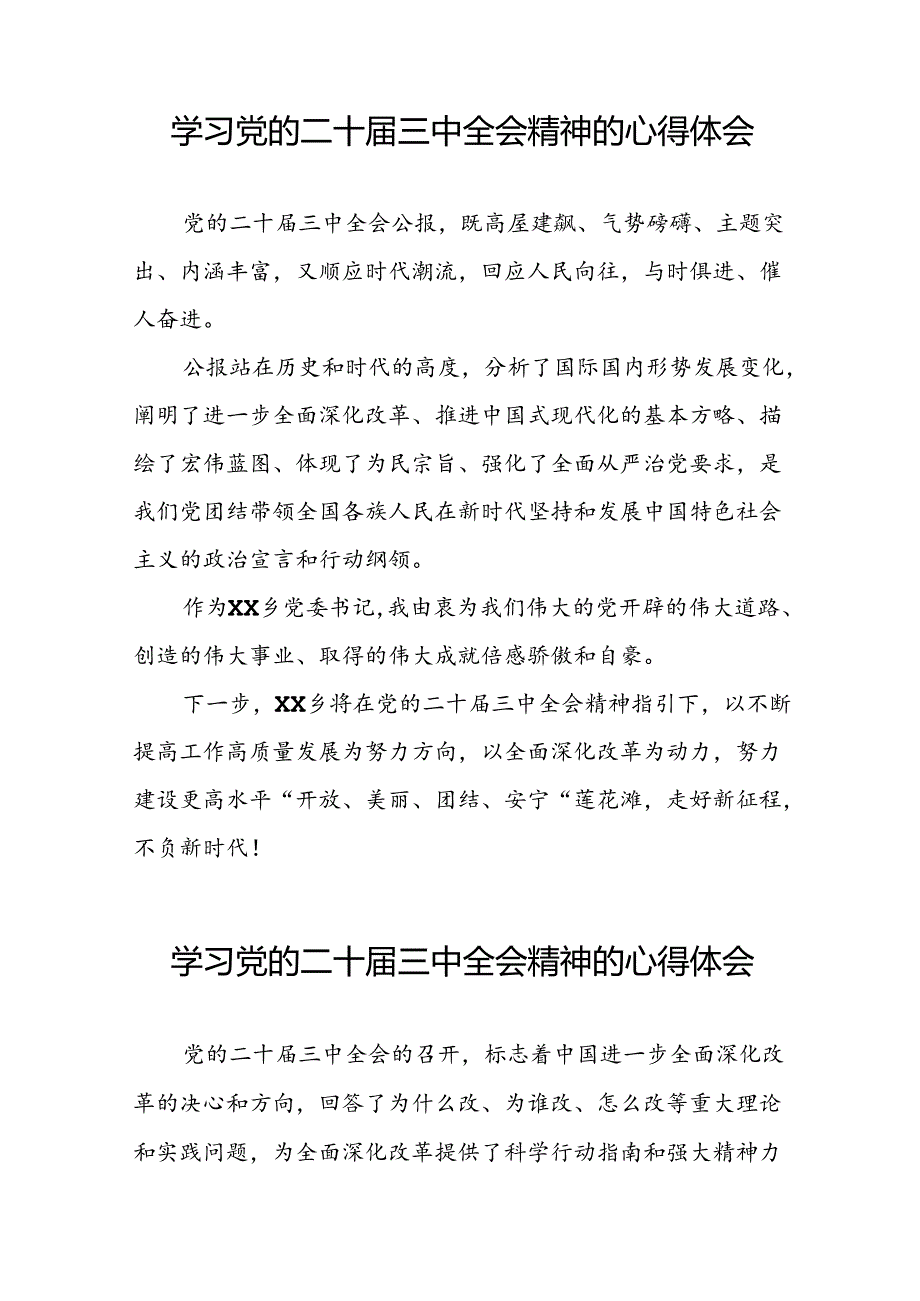 党员干部学二十三中全会精神的心得感悟16篇.docx_第3页