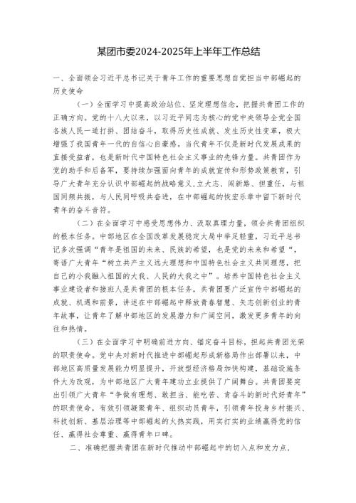 某团市委20242025年上半年工作总结.docx