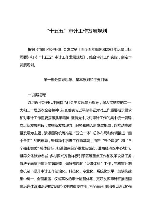 “十五五”审计工作发展规划(1).docx
