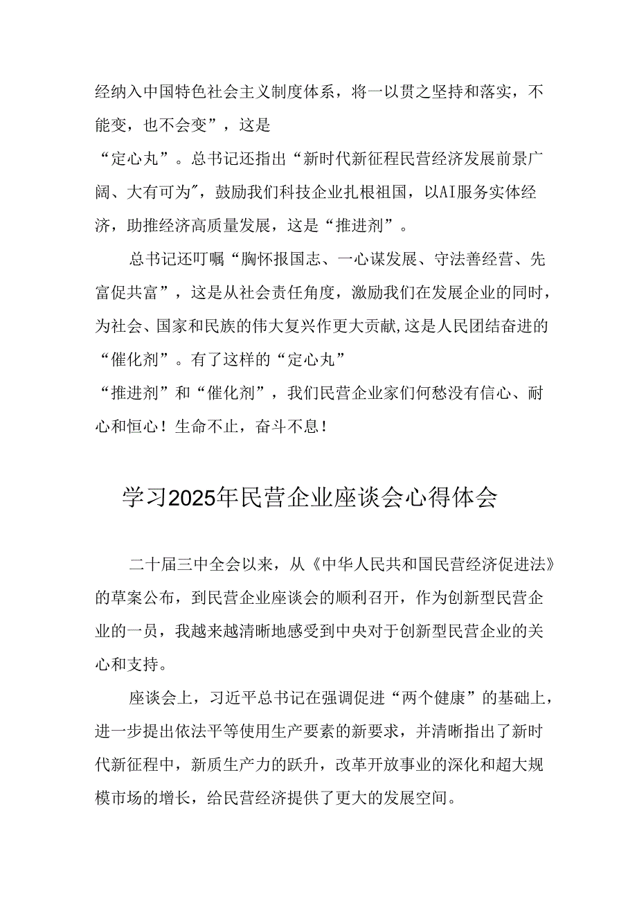 2025年私营企业学习《民营企业座谈会》个人心得体会 （7份）.docx_第2页