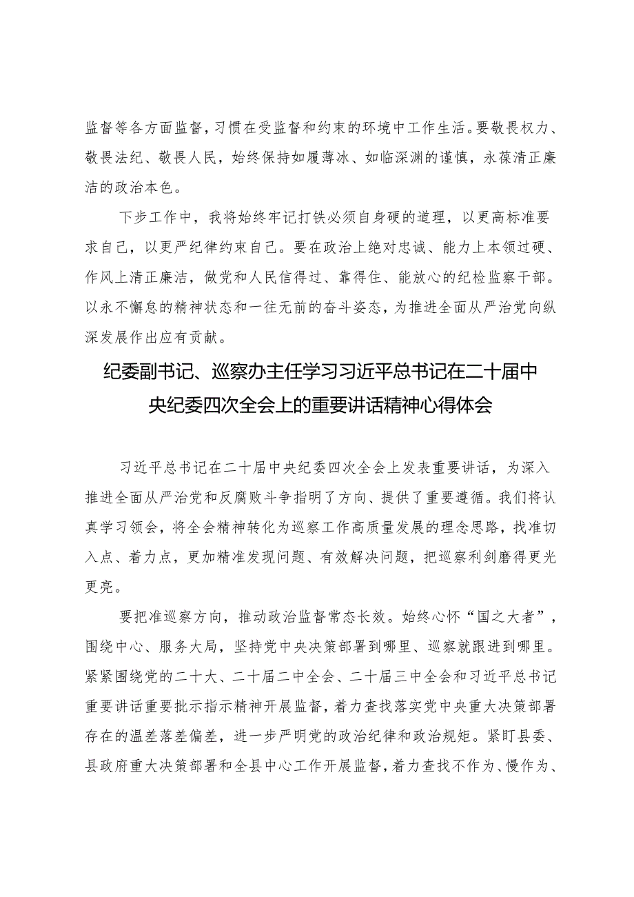 （汇编）2025年纪检干部学习二十中央纪委四次全会精神研讨发言.docx_第3页