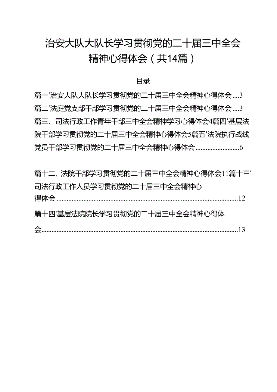 治安大队大队长学习贯彻党的二十三中全会精神心得体会（共14篇）.docx_第1页
